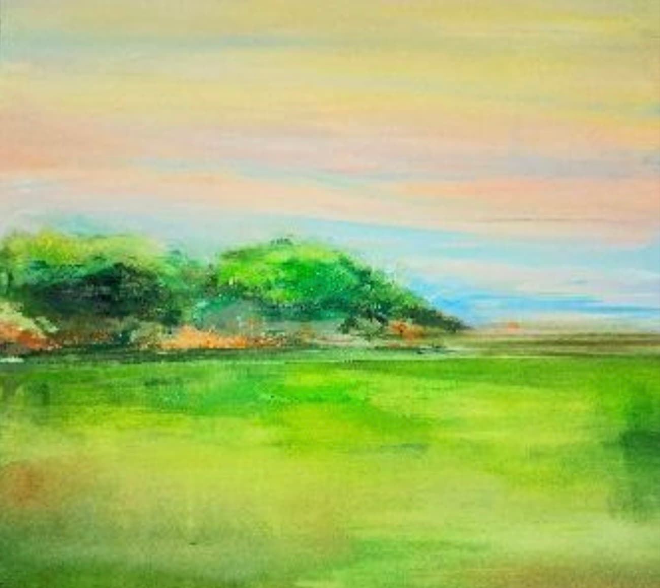 Atardecer en el Campo II